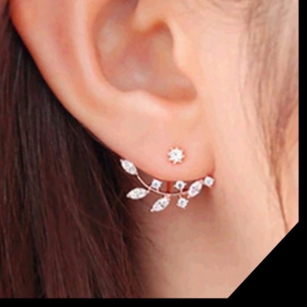 Earrings! - Picture 1 of 5